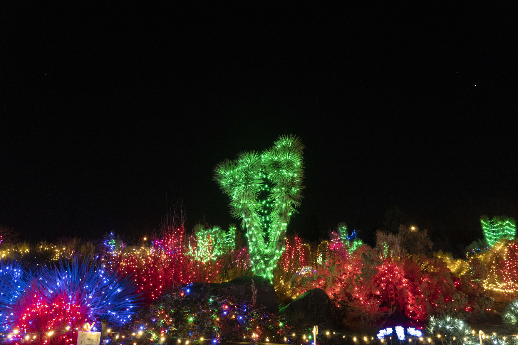 Christmas in the Garden